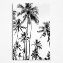 Load image into Gallery viewer, Whispering Palms - Canvas
