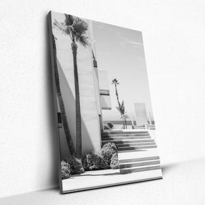 Palm Perspective - Canvas