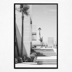 Palm Perspective - Framed