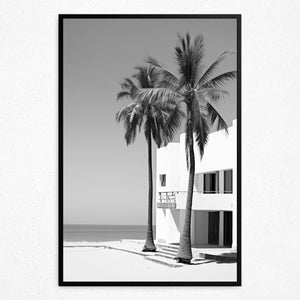 Monochrome Oasis - Framed