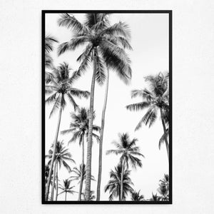 Whispering Palms - Framed