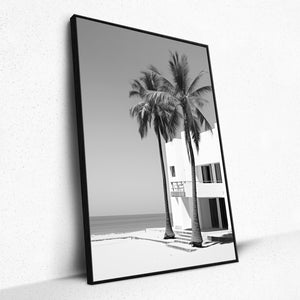 Monochrome Oasis - Framed