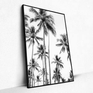 Whispering Palms - Framed