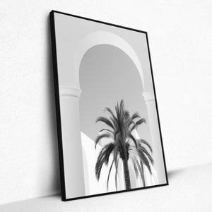 Palm Pillars - Framed