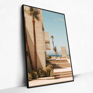 Palm Perspective - Framed