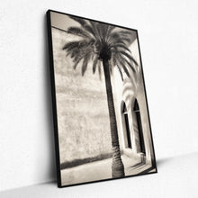 Load image into Gallery viewer, Mystic Oasis - Framed
