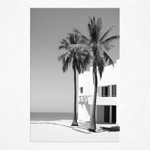 Load image into Gallery viewer, Monochrome Oasis - Poster
