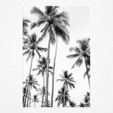 Load image into Gallery viewer, Whispering Palms - Poster
