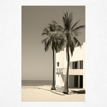 Load image into Gallery viewer, Monochrome Oasis - Poster
